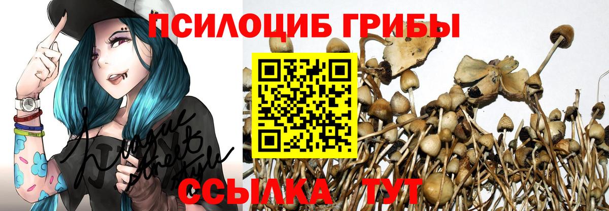 Галлюциногенные грибы Psilocybine cubensis Киреевск