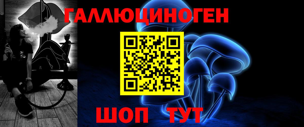 Киреевск  Галлюциногенные грибы Psilocybe  Вход с VPN 